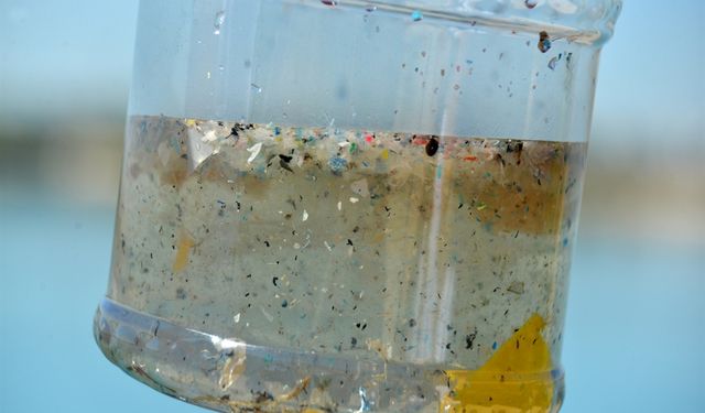 Endokrin uzmanından 'plastik' uyarısı: Hastalar çok daha fazla organ kanserleriyle karşımıza gelecek