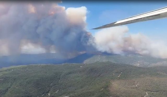 İzmir'de orman yangını (2)