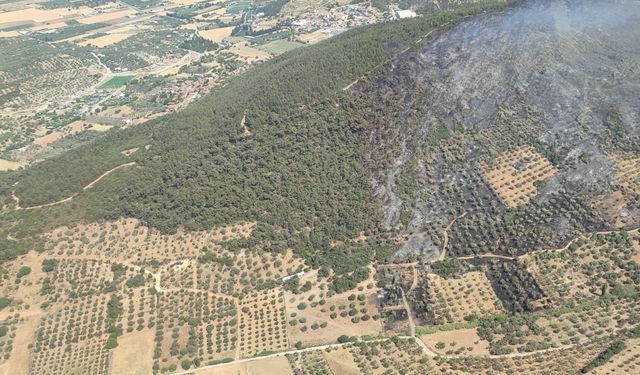 İzmir'de orman yangını; 4 gözaltı (5)