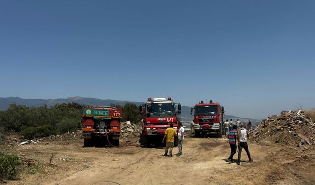 İzmir'de orman yangını çıktı (2)