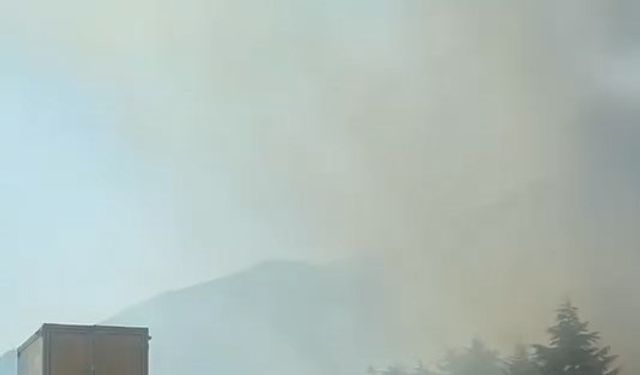Kocaeli'de yol kenarında çıkıp ormana sıçrayan yangın, 2 saatte söndürüldü