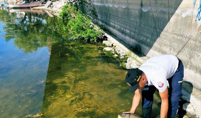 Uluabat Gölü’nde usulsüz avlanan 3 balıkçıya 52 bin TL ceza