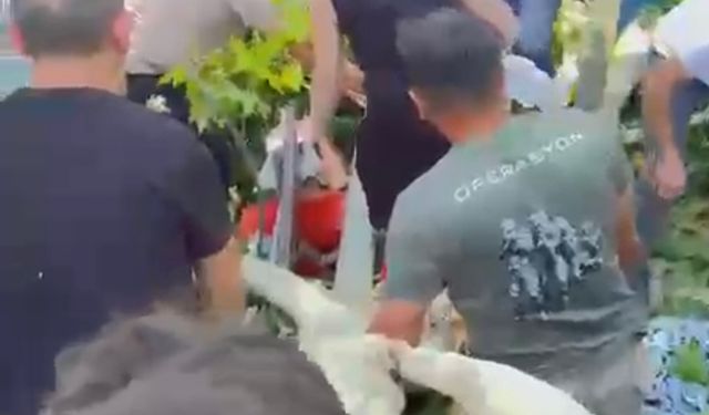 Çınar ağacının kırılan dalının altında kalan 3 kişi yaralandı