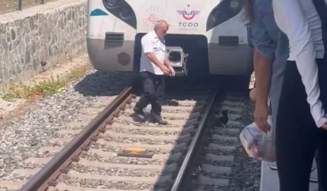 İstanbul- Bakırköy'de raylarda duran yavru kediyi fark eden makinist treni durdurdu