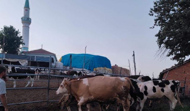 Tekirdağ'da orman yangını; alevlerin tehdit ettiği bir mahalle boşaltılıyor / Ek fotoğraflar
