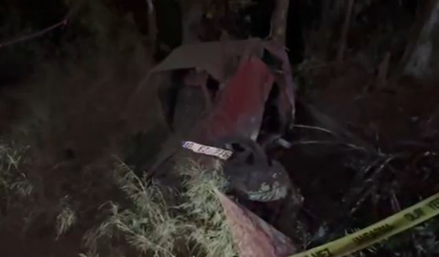 Yoldan çıkan otomobil ağaçlık alana düştü: 2 ölü
