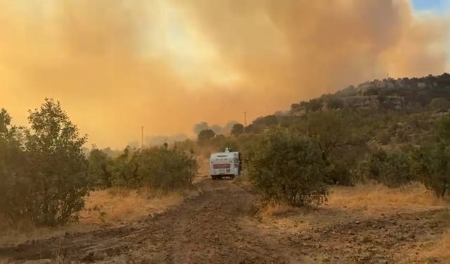 Diyarbakır’da 3 noktada örtü yangını (2)