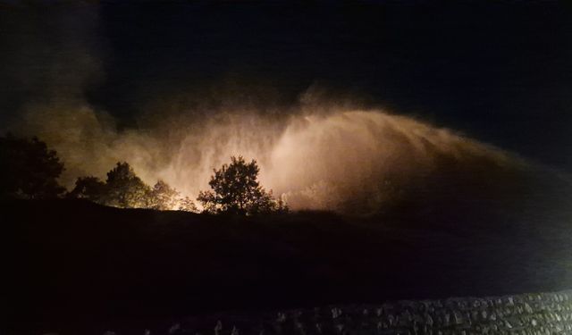 Diyarbakır'da 3 noktada örtü yangını / Ek Fotoğraflar