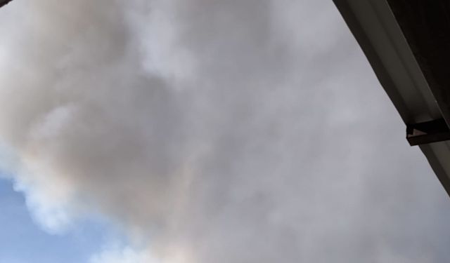 Diyarbakır’da 3 noktada örtü yangını