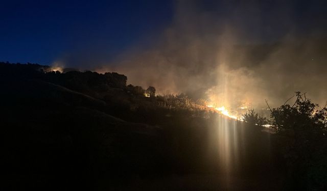 Diyarbakır’da çıkan örtü yangını, 3 saatte söndürüldü