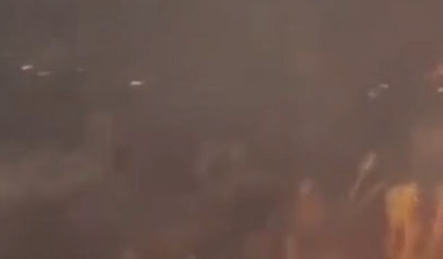 Diyarbakır’daki örtü yangını 17 saatte kontrol altında; 230 hektar alan yandı (2)