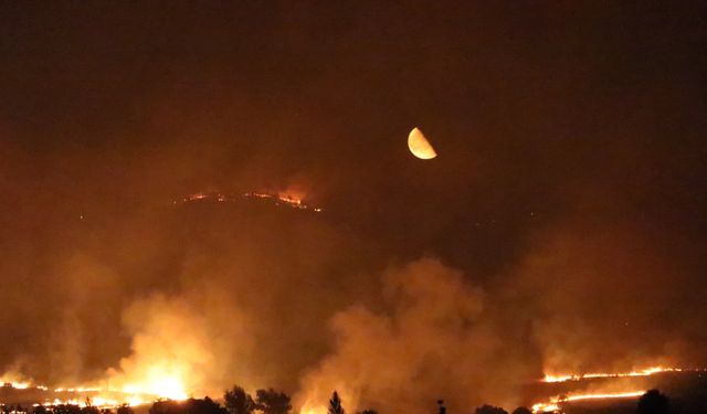 Diyarbakır’daki örtü yangını 17 saatte kontrol altında; 230 hektar alan yandı