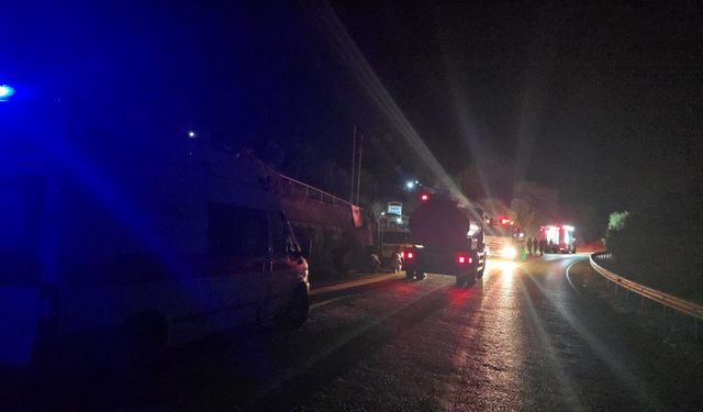 Bursa'da çıkan anız yangın yerleşim yerine ulaşmadan söndürüldü