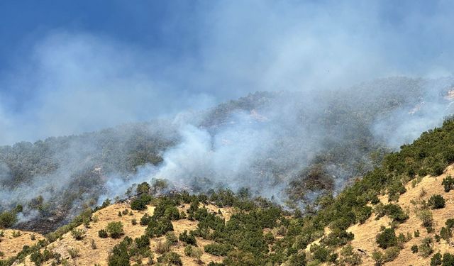 Hakkari'de çıkan orman yangını kontrol altına alındı (2)