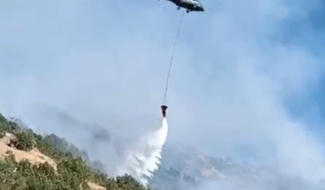 Hakkari'de çıkan orman yangını kontrol altına alındı