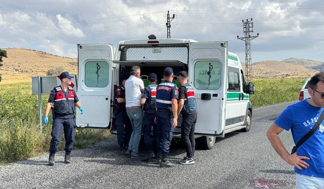 Husumetlileri tarafından av tüfeğiyle vurulan 2 kardeş öldü