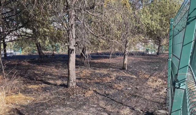 İstanbul - Şişli'de ağaçlık alanda çıkan yangın söndürüldü; şüpheli kamerada