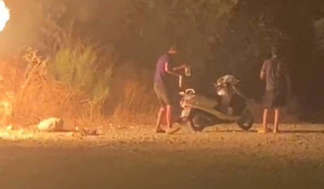 Ormanı ateşe verdiler; o anlar kamerada