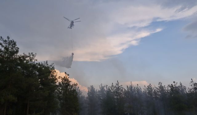 Osmaniye'de orman yangını (2)