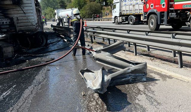 Otoyolda TIR yandı, dorsedeki hayvanları sürücü kurtardı