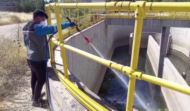 Adıyaman Belediyesi larva mücadelesini yoğunlaştırdı