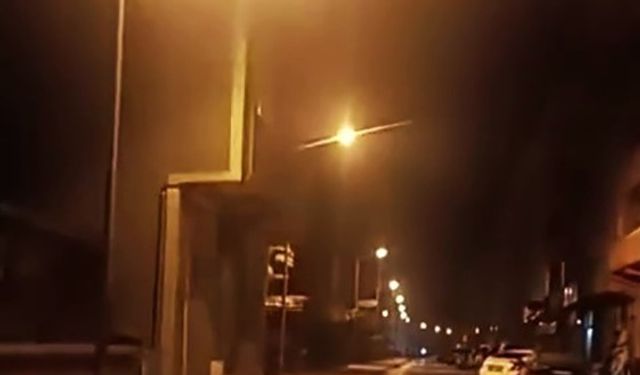 Anne ayı ve yavruları ilçe merkezine indi