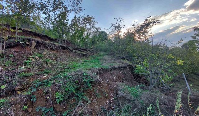 Araziler parçalandı, evler yamuldu: Taş ocağı mahalleyi yok etmeye başladı