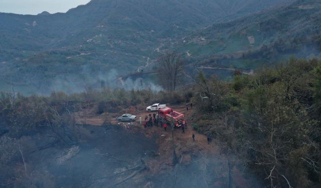 Artvin Valisi Ergün: "Yangın kısmen kontrol altına alındı"