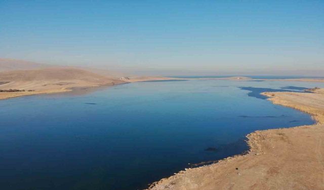 Çıldır Gölü kısmen dondu: Atlı kızaklar için geri sayım başladı