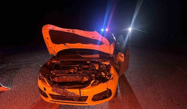 Çorum’da otomobil yola çıkan danaya çarptı: 2 yaralı