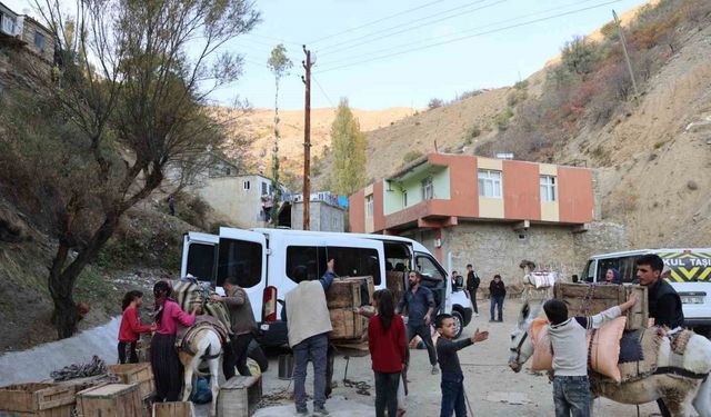 Diyarbakır’ın kırsal mahallesinde yükler eşeklerle evlere götürülüyor