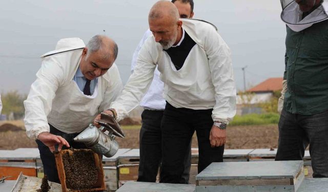 Elazığ arı kovanları incelendi
