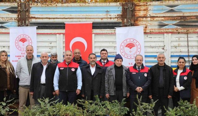 Elazığ’da sumak üretimi artıyor