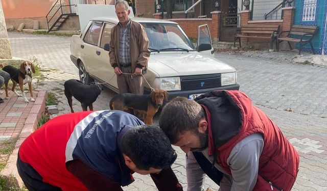 Emet’te sahipli kedi ve köpeklere mikroçip ve kuduz aşısı uygulaması