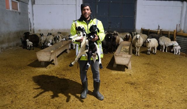 Erzincanlı üretici yüzde 50 hibe desteğiyle 8 Milyon TL’lik çiftlik kurdu