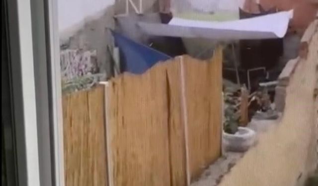 Eskişehir’de köpeğe eziyet eden şahıs yakalandı