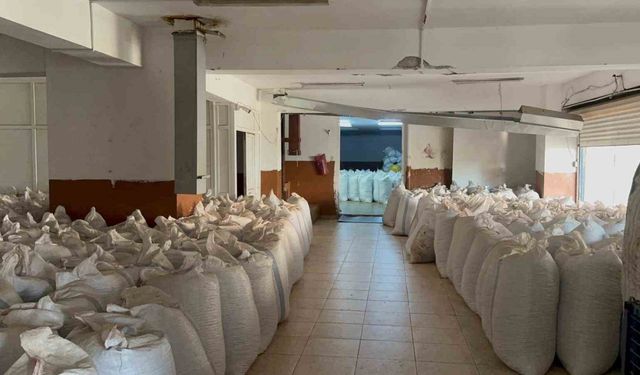 Fındık tüccarı fiyatların yükseleceği tarihe dair beklentiyi anlattı