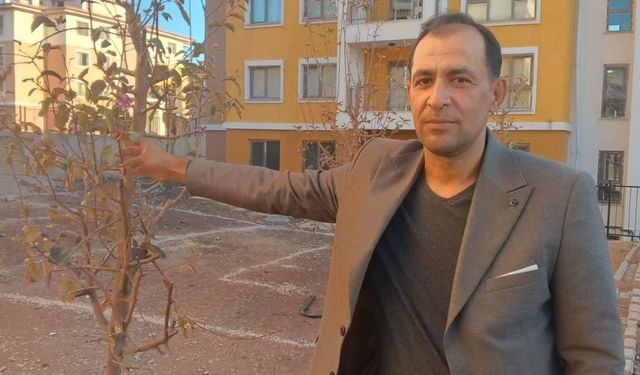 Geçen yıl kuruyan ağaçlar kasım ayında çiçek açtı