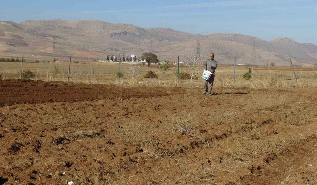 Gercüş’te çiftçiler tohumlarını toprakla buluşturuyor