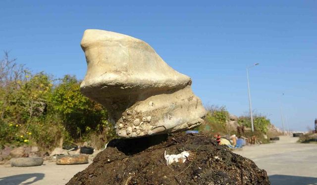 Giresun’un Bulancak ilçesinde denizde bulunan cisim balıkçıları şaşırttı