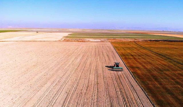 Hububat ambarı Konya Ovasında yağışlar yetersiz