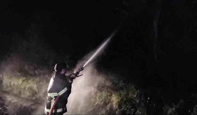 Kastamonu’da çıkan orman yangını söndürüldü