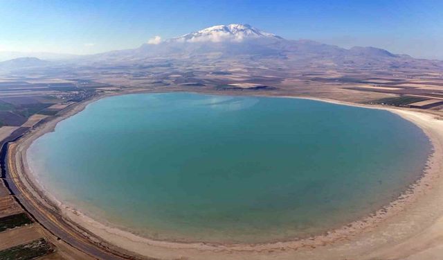 Kuş cenneti Arin Gölü gün geçtikçe alan kaybediyor