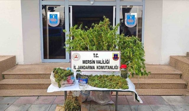 Mersin’de kenevir ekip uyuşturucu üreten şüpheli tutuklandı