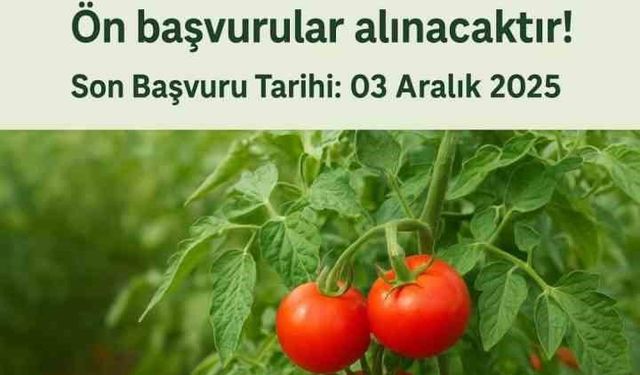 Muradiye’de "Domates Yetiştiriciliği" projesi için ön başvurular başladı