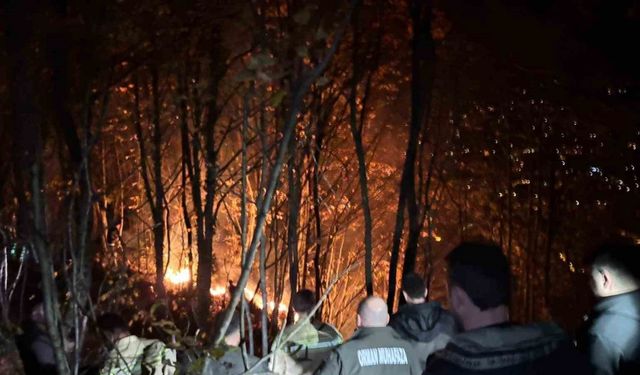 Ordu’da ormanlık alanda yangın