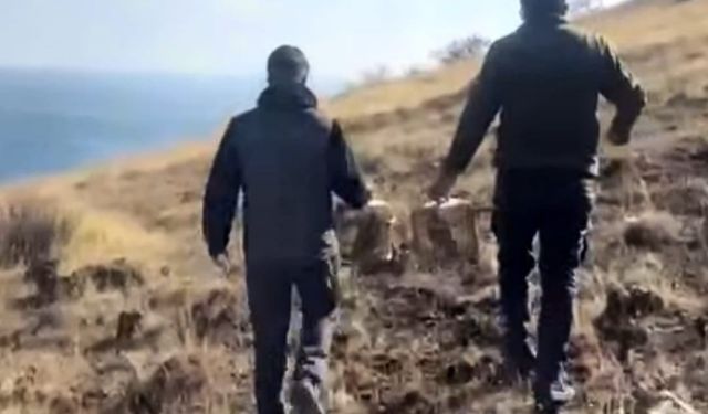 Rehabilite edilen keklikler yeniden doğayla buluştu