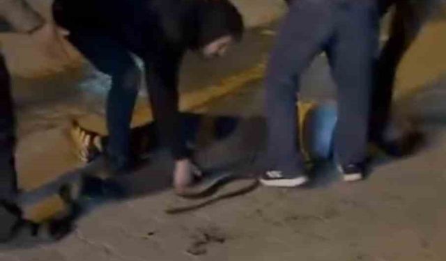 Şanlıurfa’da bıçaklı kavga: 3 yaralı