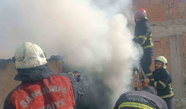 Şanlıurfa’da mesken yangını söndürüldü