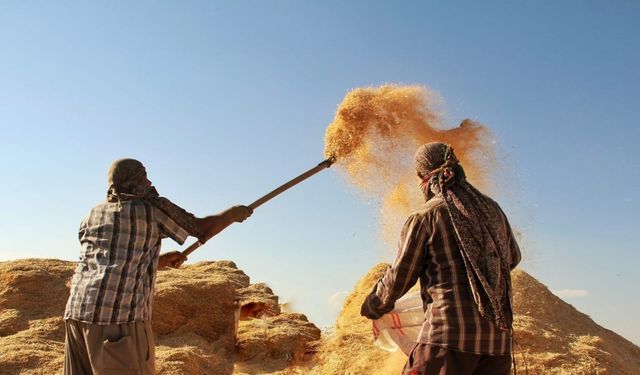 Tarım-GFE yıllık yüzde 34,60 arttı